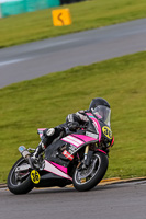 PJ-Motorsport-2019;anglesey-no-limits-trackday;anglesey-photographs;anglesey-trackday-photographs;enduro-digital-images;event-digital-images;eventdigitalimages;no-limits-trackdays;peter-wileman-photography;racing-digital-images;trac-mon;trackday-digital-images;trackday-photos;ty-croes